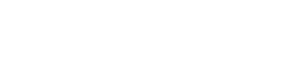 WegaPay